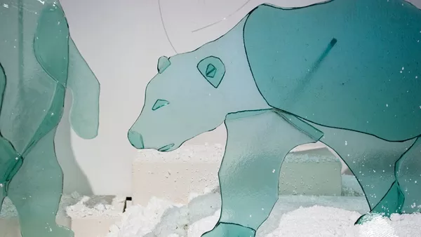 За мечките и хората