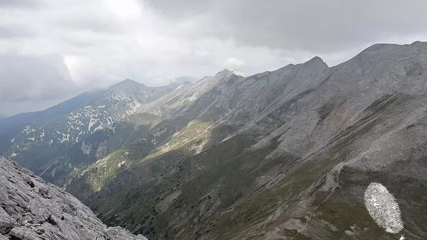 Високи сини