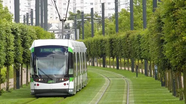 Градски поляни