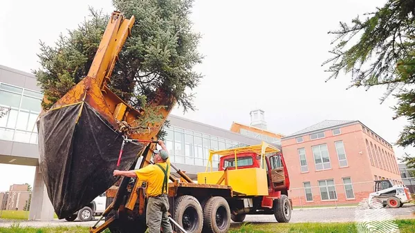 Кеф ти тук, кеф ти там