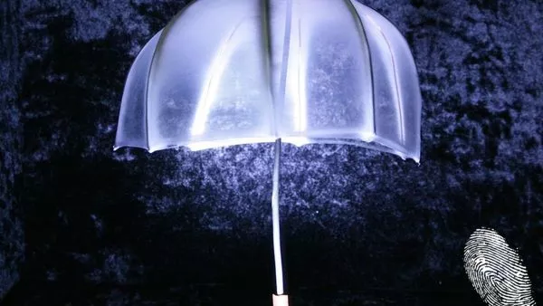 Учени от БАН изскачат с изложба на нановлакна