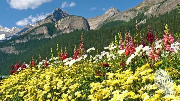 Спечели уикенд в планината