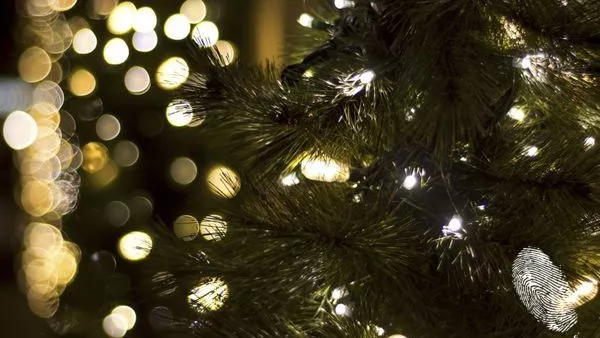 Да светнем елхата