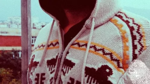 Stephan Panev, Infragreen и Stefak