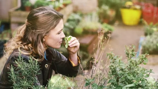 Каквото засадиш, това ще пожънеш