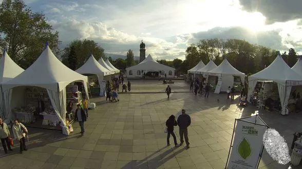 Зелено, по-зелено, най-зелено