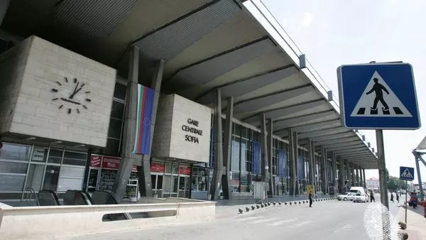 Централно залесяване