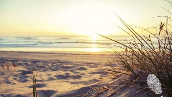 За едно по-специално лято