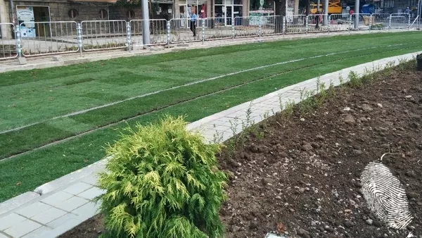 Релси в тревата