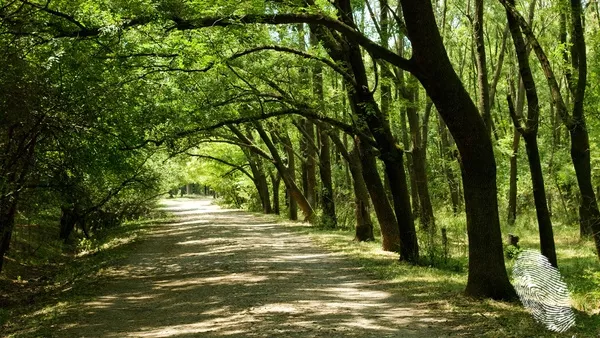 Укротяваме Дивия запад
