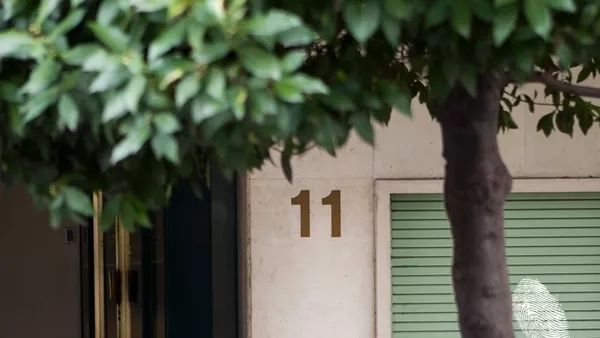 Ранно пиле 11