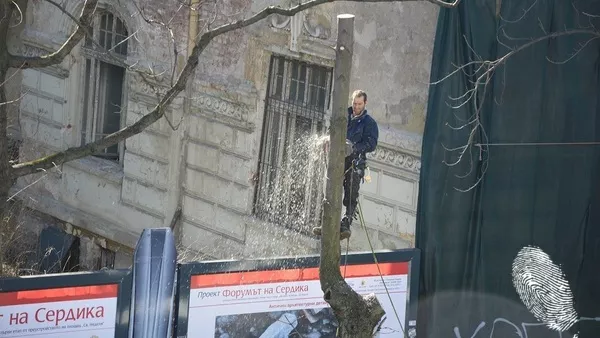 Секат кестените по Патриарха