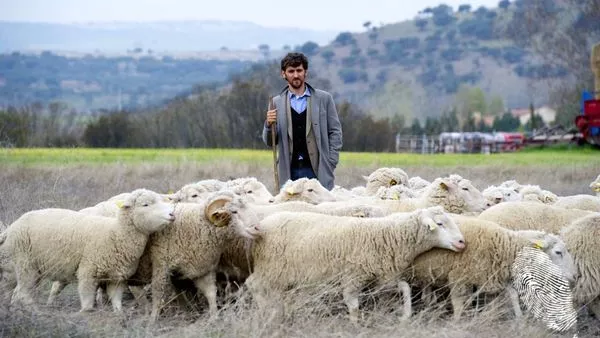 Кино в сряда вечер