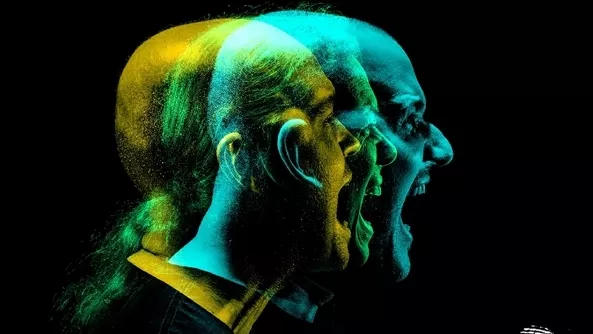 HippieLandia пораства с цял ден