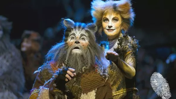 Котки превземат града