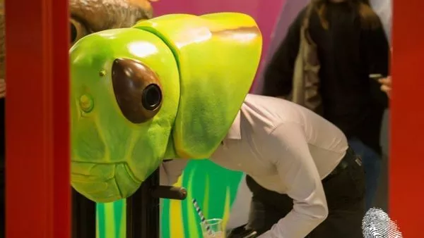 Цветен купон