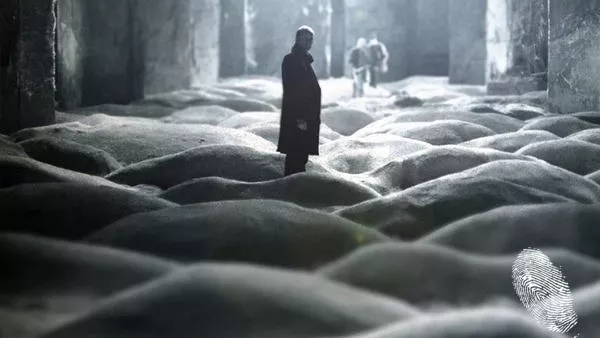 Всички гледаме Тарковски