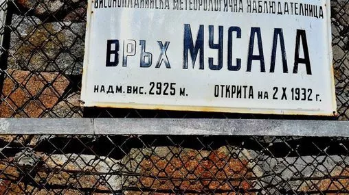 Забий котката!