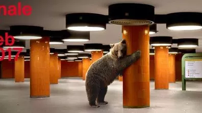 Берлинале 2017 стартира тази вечер с бляскава церемония