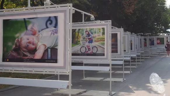 Тест новина