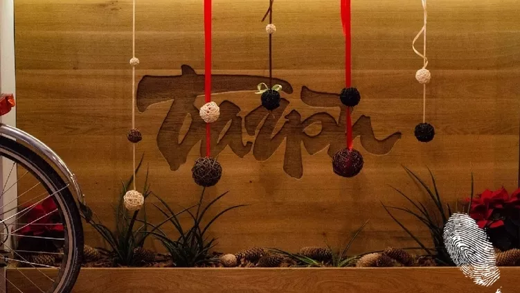 Коледни Багри