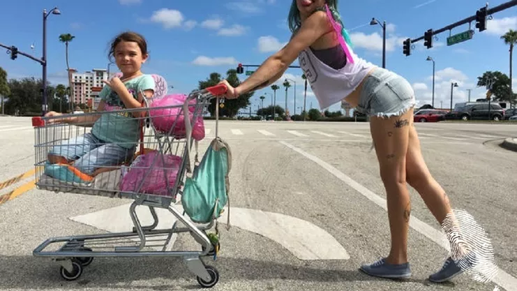 Проектът Флорида