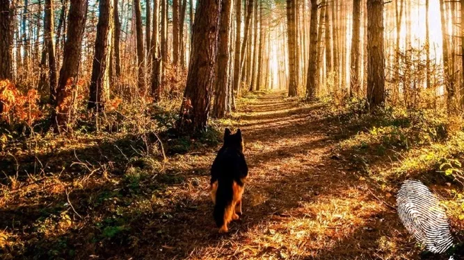 София между слънцето, вятъра и дъжда