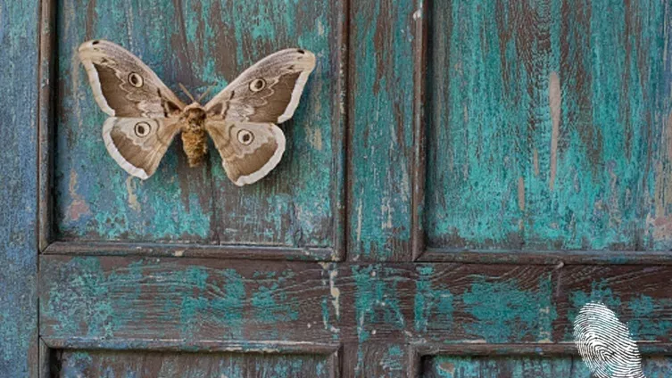 10 цитата от Паулу Коелю