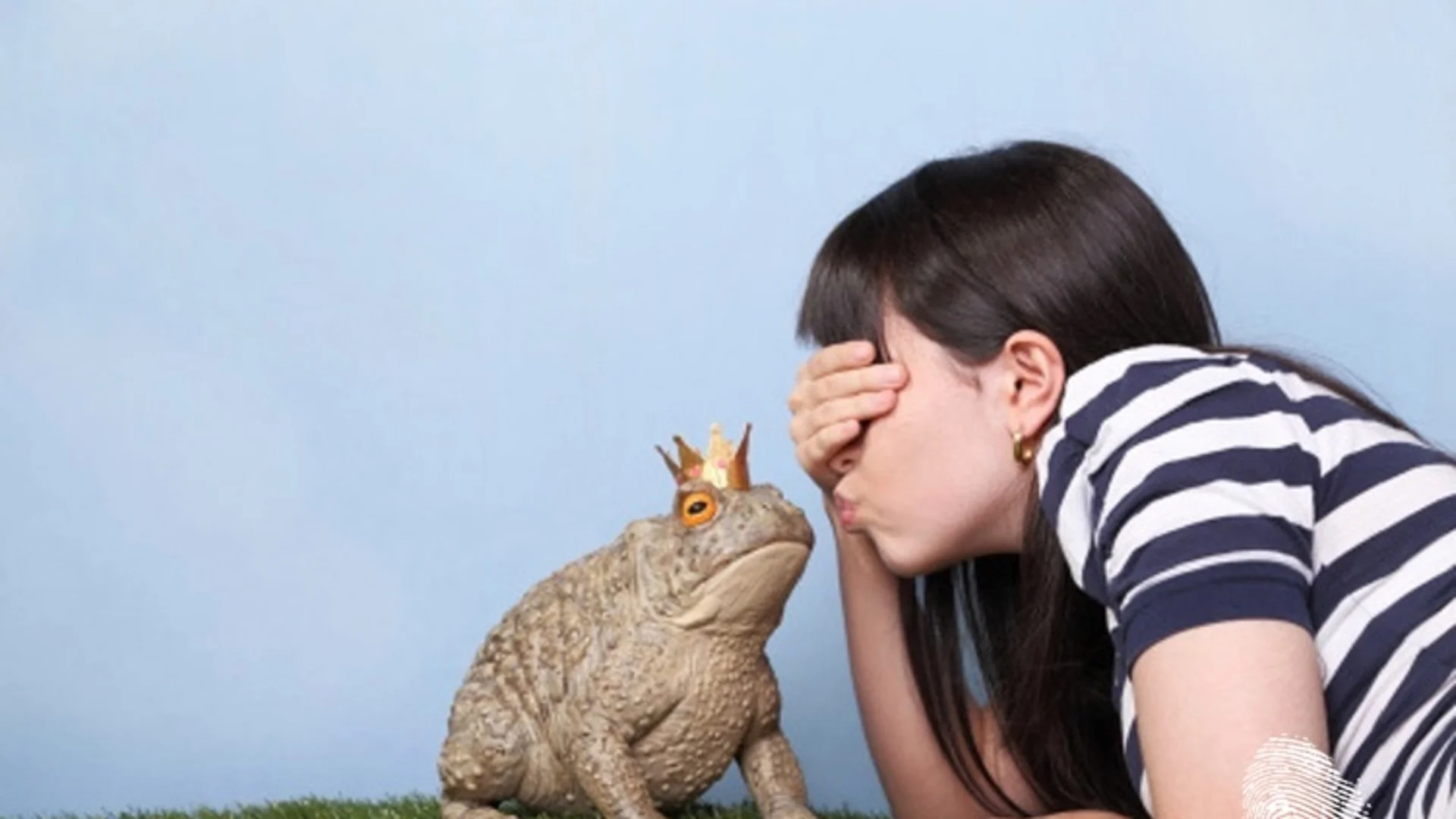 В търсене на софийския принц