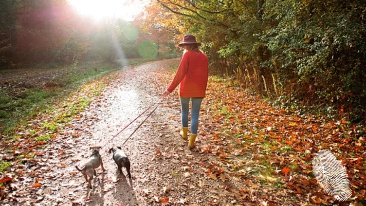 Сбъркана есен = сбъркани хора