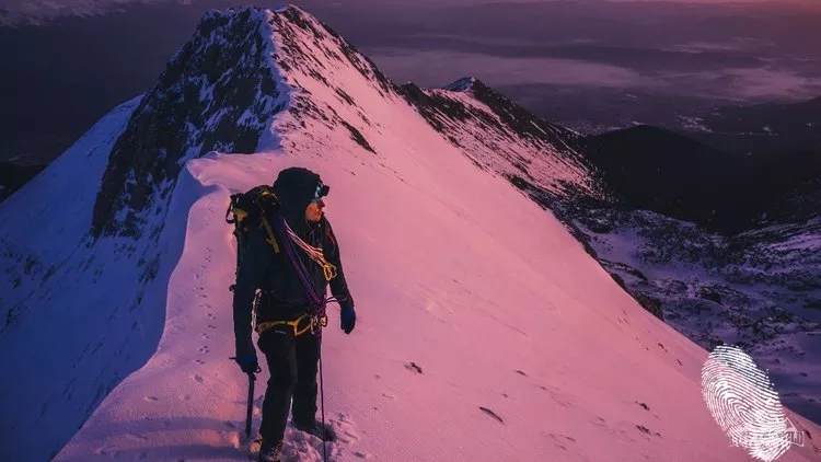 Бранислав Бранков