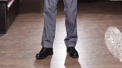 Предколедна треска