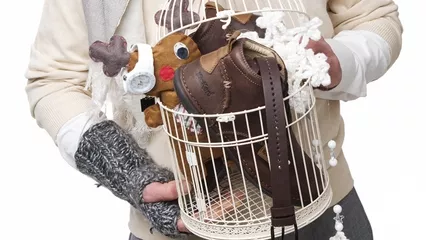 Бяла тишина