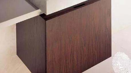 Операция Чисти ръце