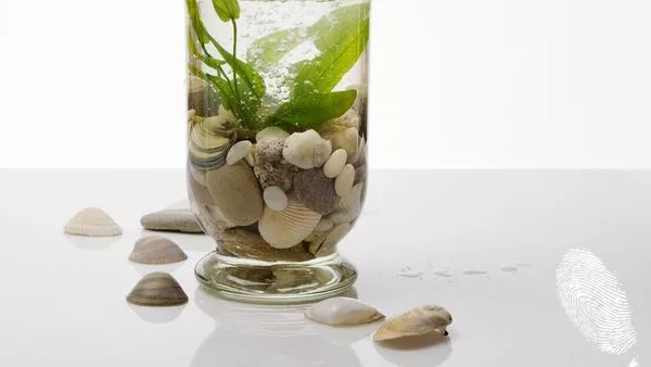 Морето в мен