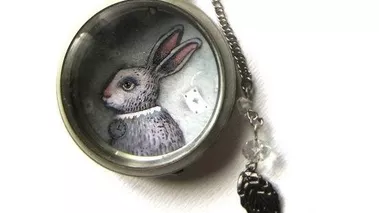 Следвай заека