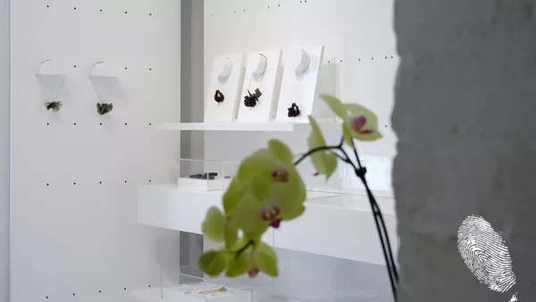 С блясък в очите