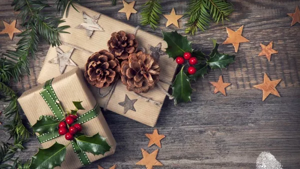 Спасителен план