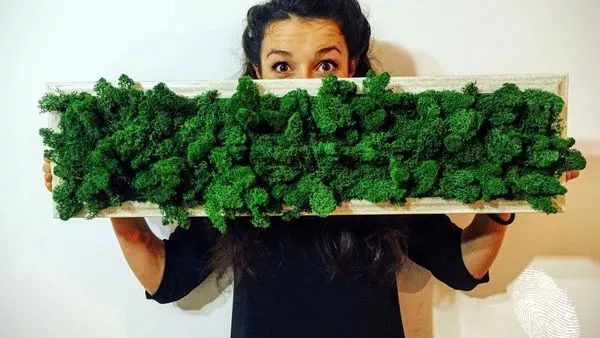 Късче природа