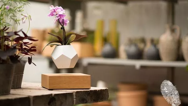 Зелена левитация