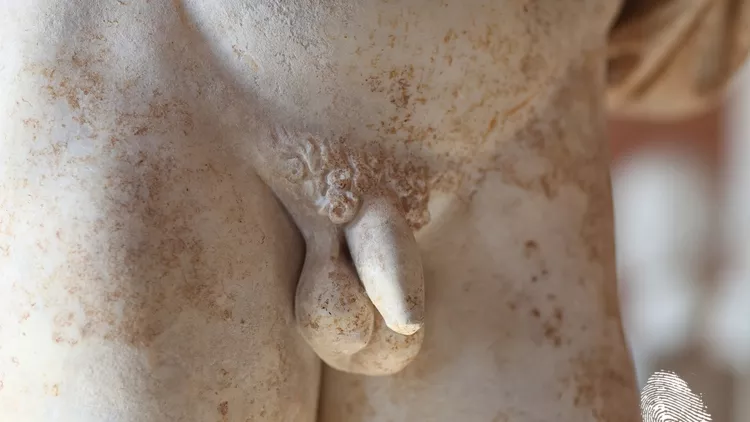 Фалосите в изкуството