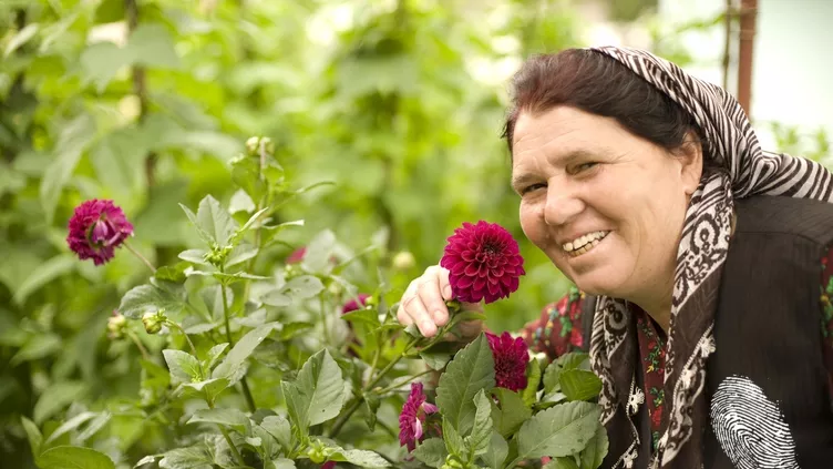 Манджите с печат от баба