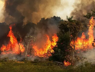 Амазония преживява най-тежките пожари от десетилетие