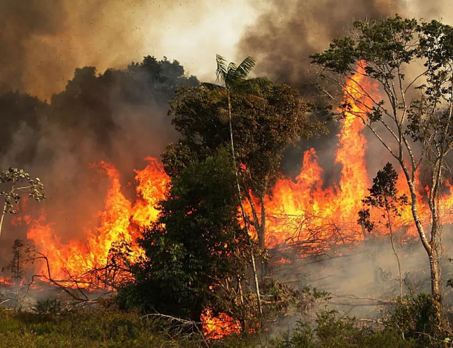 Повече пожари в Амазония за девет месеца, отколкото за цялата 2021 година