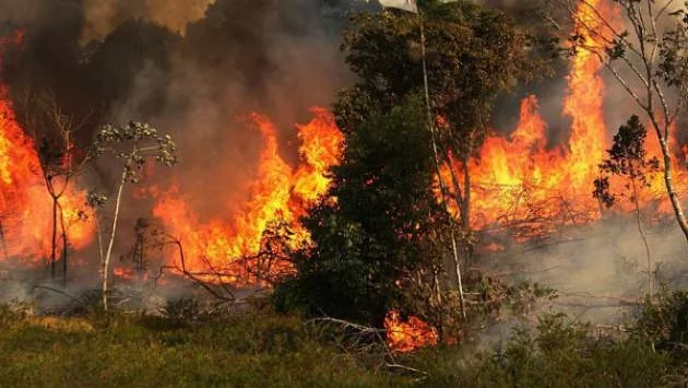 Всички трябва да говорят за горящата Амазония!