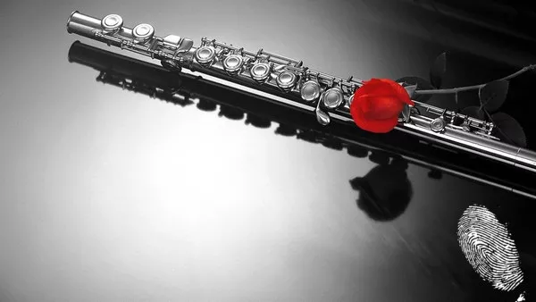 Концерт за флейта и пиано