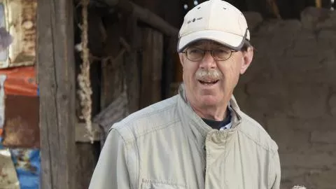 Черната лястовица