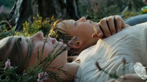 Свободни като птици