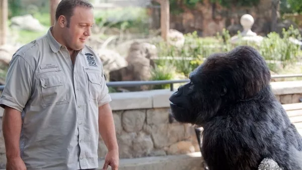 Опашати сватовници