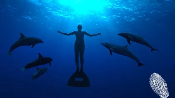 Плитки води, дълбоки тайни